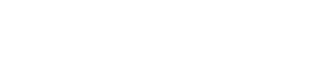Finance with Flow white logo